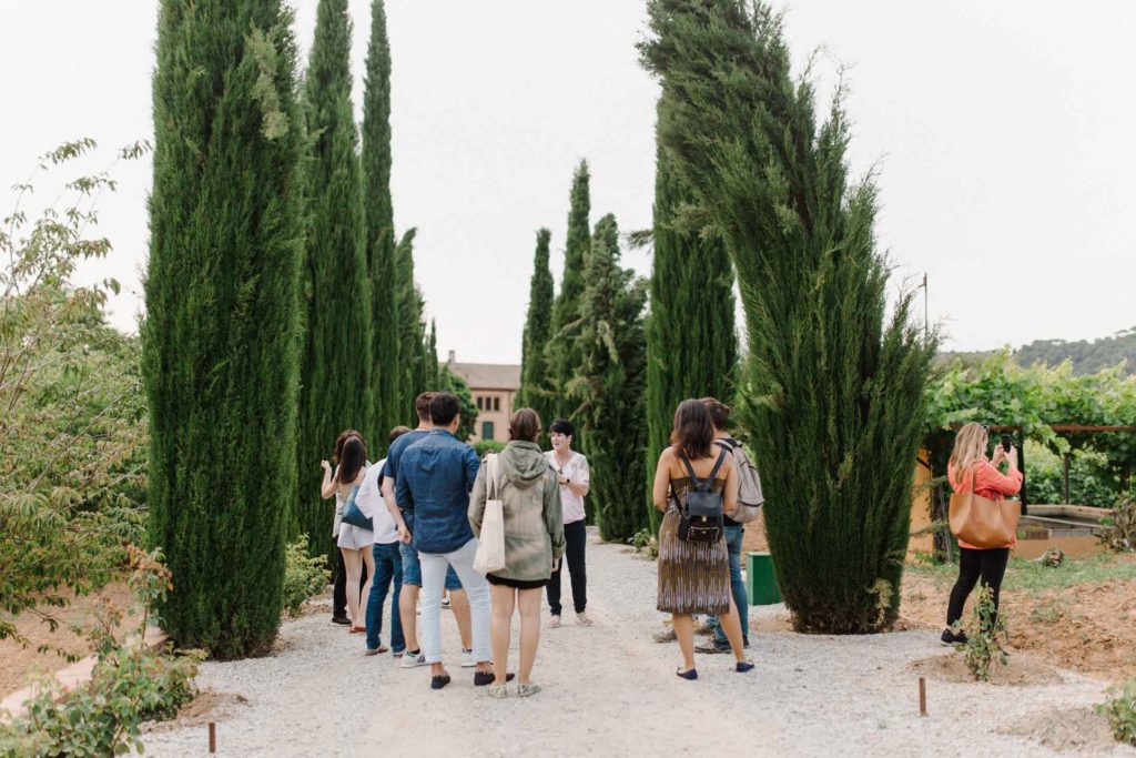 celler can roda visita enoturistica paseo entre viñedos