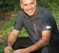 Evarist March - Celler Can Roda