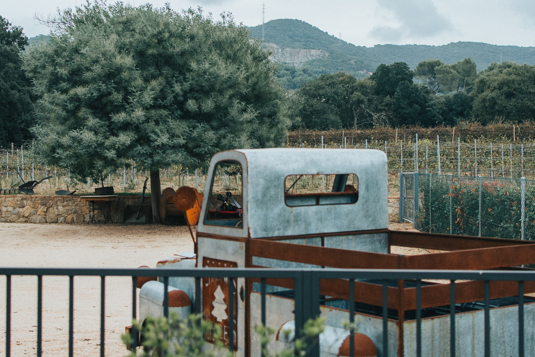 ioga entre vinedos ioga entre vinedos - Celler Can Roda