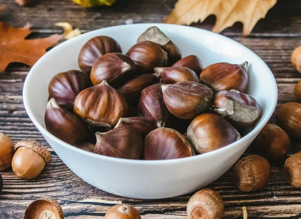 can roda activitat castanyes destacats