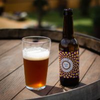 cervesa can roda