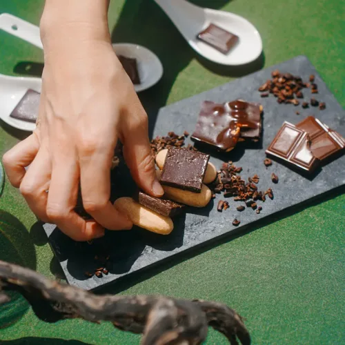 Tast vins i xocolates