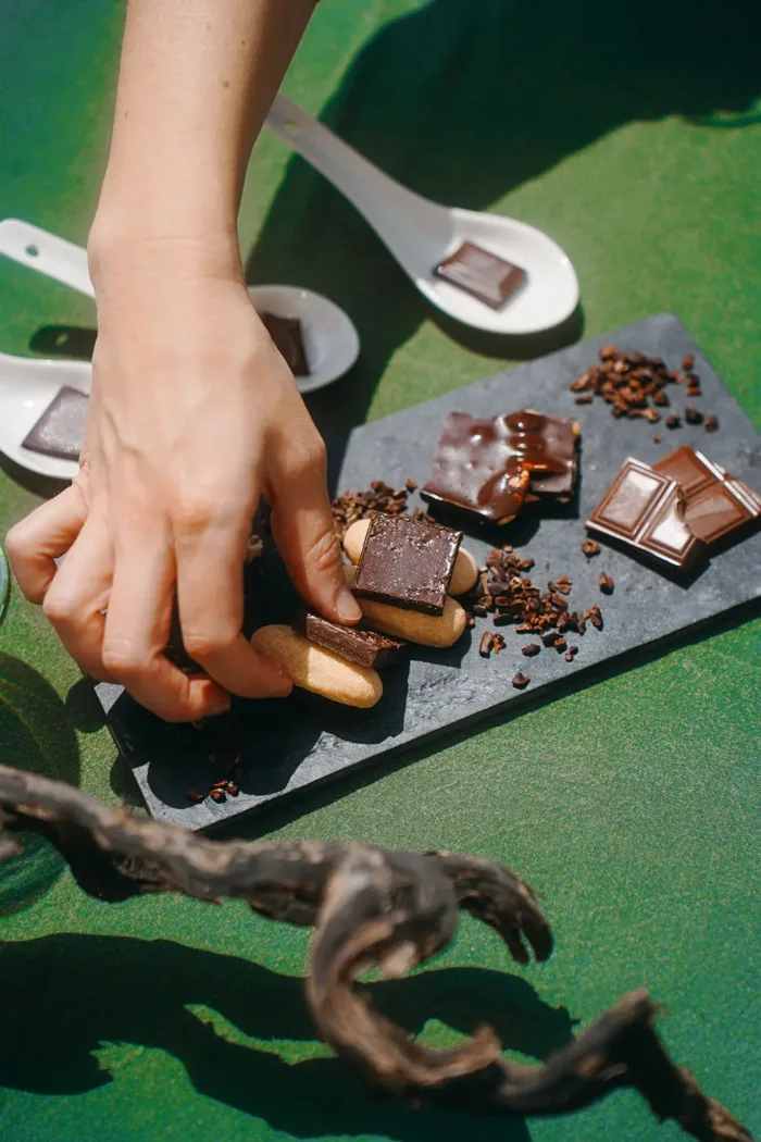 Tast vins i xocolates