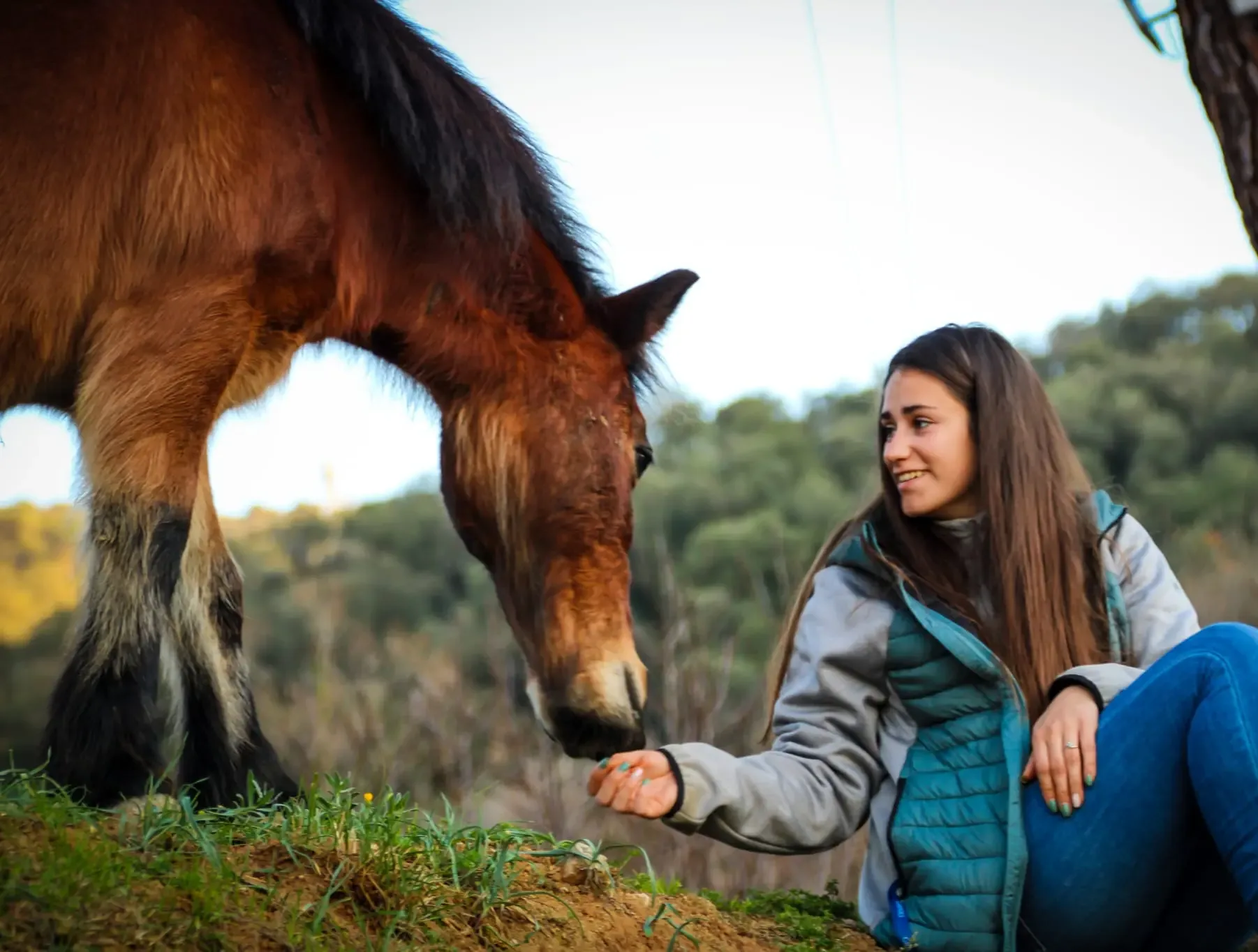 Activitat cavalls escoles