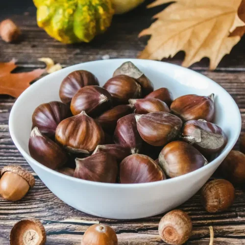 can roda tast vins i castanyes