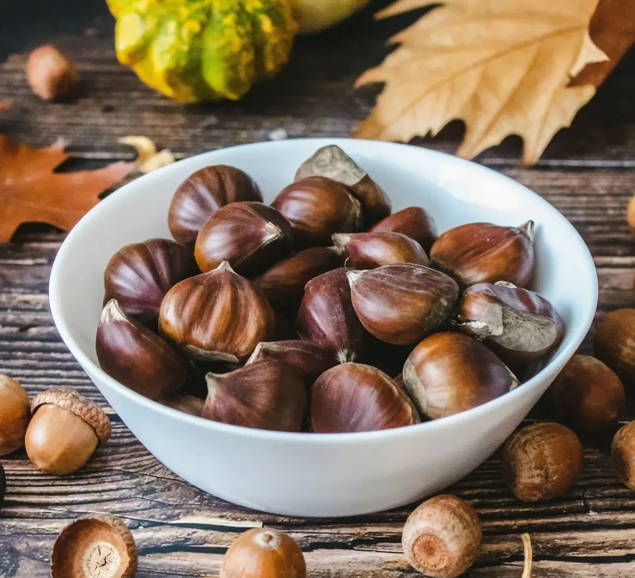 can roda tast vins i castanyes